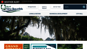 What Newbraunfels.gov website looked like in 2023 (This year)
