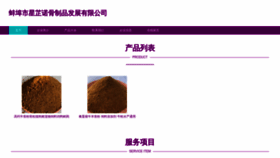 What Njxingzhinuo.com website looked like in 2023 (This year)
