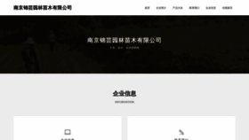 What Njjinyun.com website looked like in 2023 (This year)