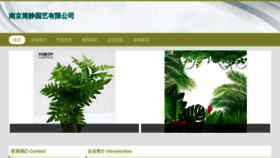 What Njjianjing.com website looked like in 2023 (This year)