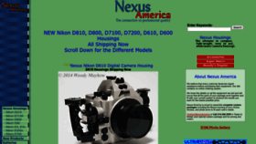 What Nexusamerica.com website looked like in 2023 (This year)