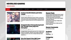What Neverlose-gaming.info website looked like in 2023 (This year)