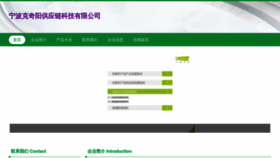 What Nbsskw.cn website looked like in 2023 (This year)
