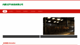 What Nmogate.cn website looked like in 2023 (This year)