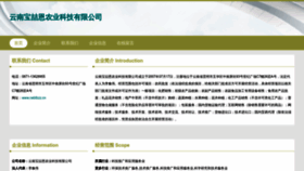 What Nebtbzz.cn website looked like in 2023 (This year)