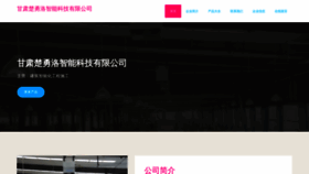 What Nguciolo.cn website looked like in 2023 (This year)