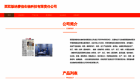 What Nvixskm.cn website looked like in 2023 (This year)