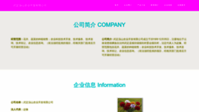 What Nzgxvsv.cn website looked like in 2023 (This year)