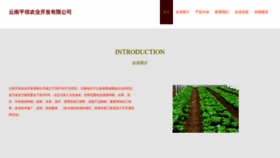 What Nzijngt.cn website looked like in 2023 (This year)
