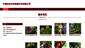 What Nd129.cn website looked like in 2023 (This year)
