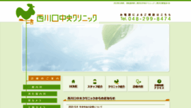 What Nishikawaguchi-cc.com website looks like in 2024 