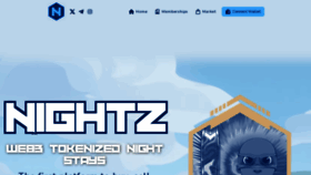 What Nightz.co website looks like in 2024 