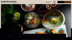 What Nikko-kumamoto.co.jp website looks like in 2024 