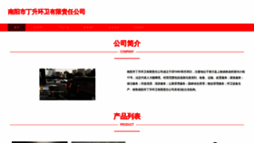 What Nanyangdingsheng.com website looks like in 2024 
