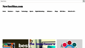 What Newseosites.com website looks like in 2024 