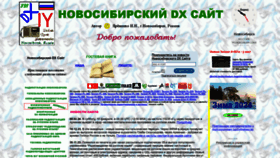 What Novosibdx.info website looks like in 2024 