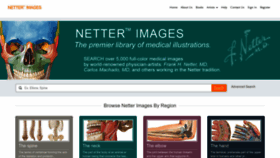 What Netterimages.com website looks like in 2024 