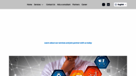 What Najibkamalcompany.com website looks like in 2024 