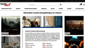 What Nikkel-art.fr website looks like in 2024 