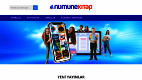 What Numunekitap.com website looks like in 2024 