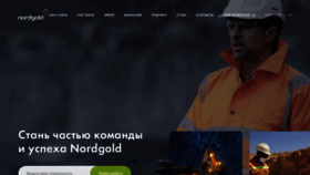 What Nordgoldjobs.com website looks like in 2024 