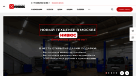 What Nivus-body.ru website looks like in 2024 