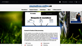 What Neumaticos-online.es website looks like in 2024 
