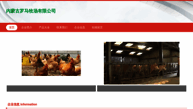 What Nmogate.cn website looks like in 2024 