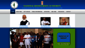 What Nbaindia.org website looks like in 2024 