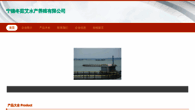 What Ndxocdr.cn website looks like in 2024 