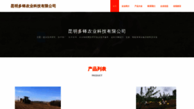 What Nvryuuy.cn website looks like in 2024 