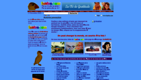 What Naute.com website looks like in 2024 