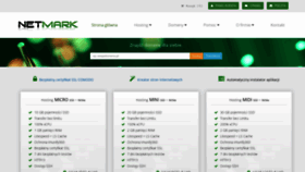 What Netmark.pl website looks like in 2024 