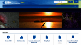 What Nafo.int website looked like in 2024 (1 year ago)