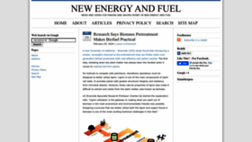 What Newenergyandfuel.com website looks like in 2024 