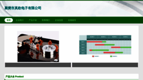 What Nitzeo.cn website looks like in 2024 