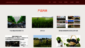 What Nwgfiyc.cn website looks like in 2024 