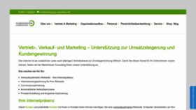 What Nabenhauer-consulting.com website looks like in 2024 