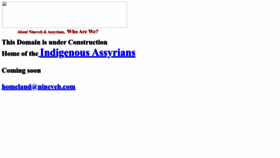 What Nineveh.com website looks like in 2024 