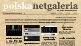 What Netgaleria.pl website looks like in 2024 