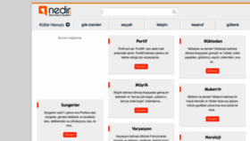 What Nedir.com website looks like in 2024 