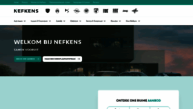 What Nefkens.nl website looks like in 2024 