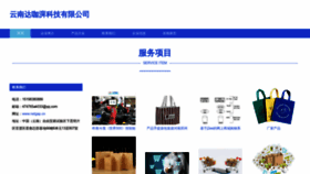 What Netgap.cn website looks like in 2024 