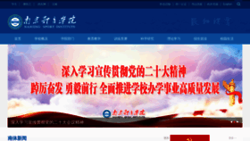 What Nipes.cn website looked like in 2024 (2 years ago)