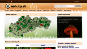 What Nahuby.sk website looks like in 2024 