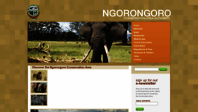 What Ngorongorocrater.org website looks like in 2024 