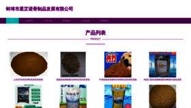 What Njxingzhinuo.com website looks like in 2024 
