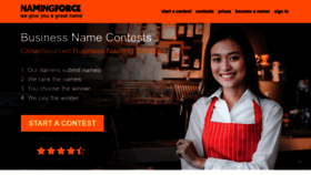 What Namingforce.com website looks like in 2024 