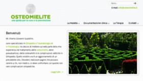 What Osteomielite.it website looked like in 2013 (10 years ago)
