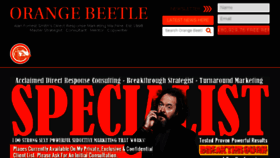 What Orangebeetle.com website looked like in 2016 (8 years ago)